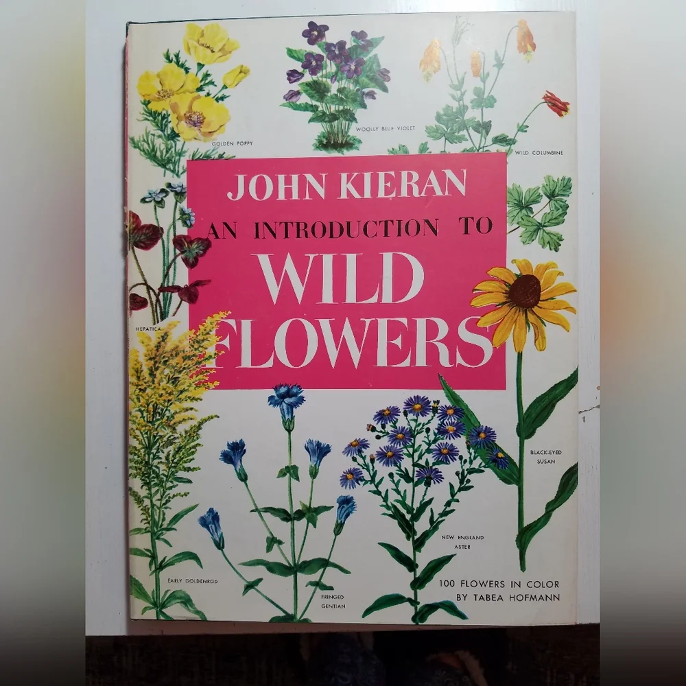 Rare 3 book set by John Kieran. An Intro to Nature. Birds, Wildflowers, Trees - Picture 5 of 11